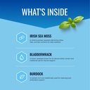 approved-science-wild-crafted-irish-sea--2.jpg