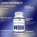 research-verified-irish-sea-moss-bladder-2.jpg
