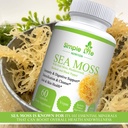 organic-irish-sea-moss-capsules-1400mg-a-2.jpg