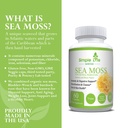 organic-irish-sea-moss-capsules-1400mg-a-4.jpg