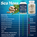 droppels-irish-sea-moss-capsules-with-tu-5.jpg