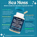 droppels-irish-sea-moss-capsules-with-tu-3.jpg