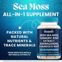 droppels-irish-sea-moss-capsules-with-tu-2.jpg