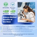 sotalix-sea-moss-capsule-with-ashwagandh-5.jpg