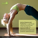 irwin-naturals-aloe-triphala-active-clea-3.jpg