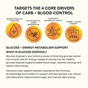 cleverpro-carbivore-carbohydrate-disposa-6.jpg