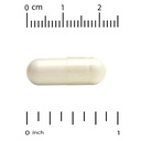 california-gold-nutrition-lactobif-probi-3.jpg