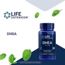 life-extension-dhea-hormone-balance-zinc-4.jpg