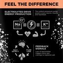 lmnt-sparkling-electrolyte-drink-grapefr-3.jpg
