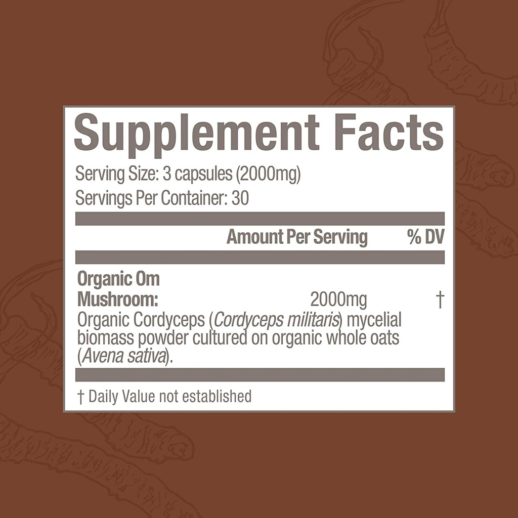om-mushroom-superfood-cordyceps-mushroom-5.jpg