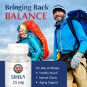 kal-dhea-25-mg-99-5-pure-micronized-heal-3.jpg