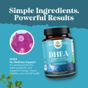 dhea-supplement-for-women-men-pure-dhea--5.jpg
