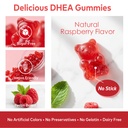dhea-supplement-for-women-dhea-25mg-gumm-5.jpg