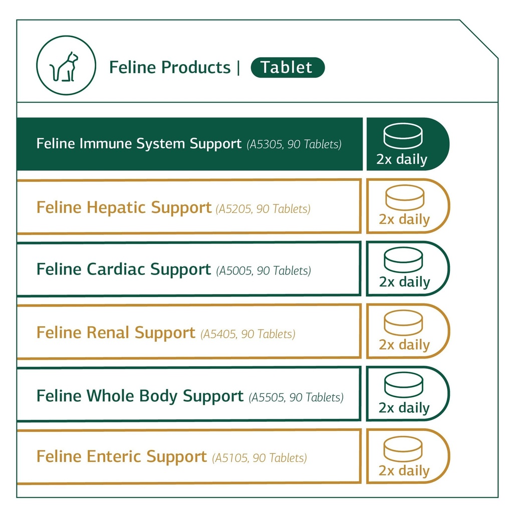 standard-process-feline-vitality-bundle--5.jpg