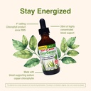 herbs-etc-chloroxygen-chlorophyll-concen-5.jpg