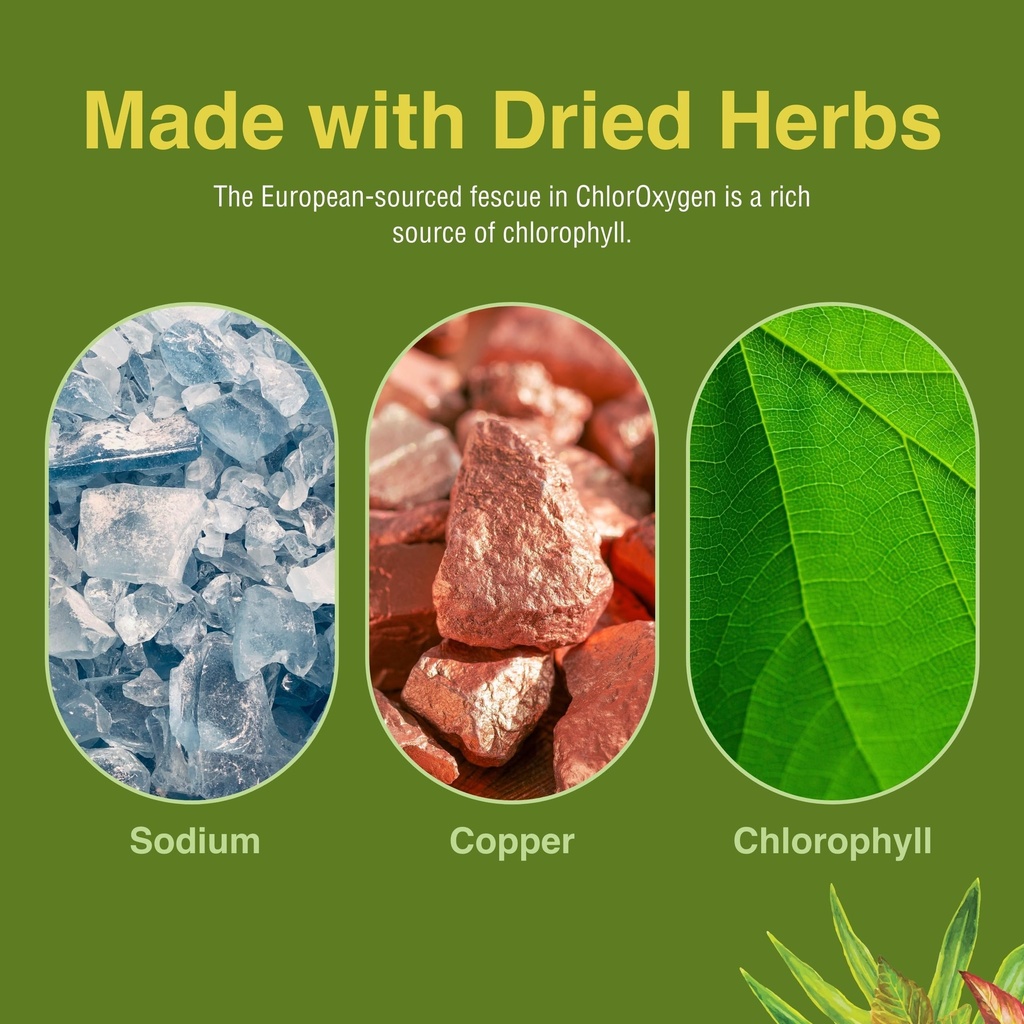 herbs-etc-chloroxygen-chlorophyll-concen-6.jpg