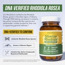 max-strength-siberian-rhodiola-rhodiola--6.jpg