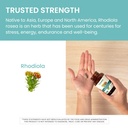 himalaya-rhodiola-rosea-herbal-energy-su-5.jpg