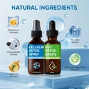 aacnre-zeolite-detox-pack-zeolite-drops--2.jpg