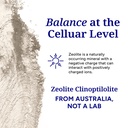 zeolite-detox-premium-clinoptilolite-zeo-3.jpg