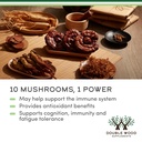 double-wood-supplements-mushroom-complex-4.jpg