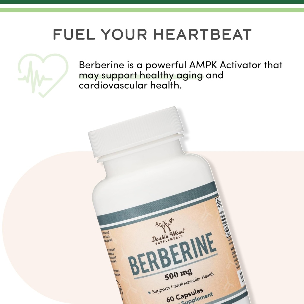 berberine-supplement-500mg-60-capsules-t-6.jpg