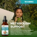 guava-leaf-extract-organic-guava-leaves--5.jpg