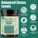 sea-moss-gummies-16-in-1-with-bladderwra-3.jpg