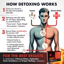rescue-detox-7-day-thermogenic-permanent-5.jpg