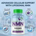 liposomal-nmn-1000mg-nicotinamide-mononu-4.jpg