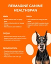 dog-longevity-supplement-nad-nmn-joint-h-4.jpg