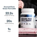 transparent-labs-grass-fed-collagen-pept-4.jpg