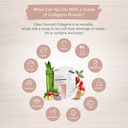 organixx-clean-sourced-collagens-protein-4.jpg