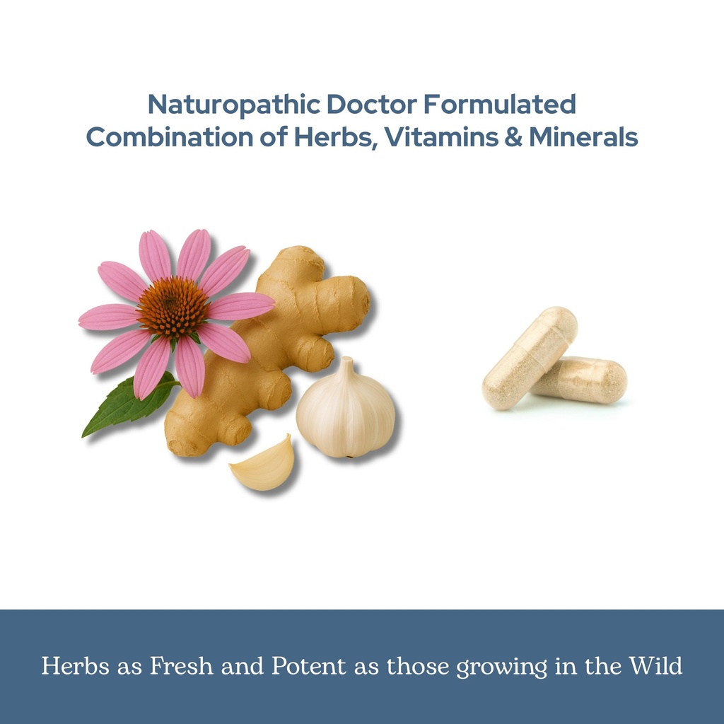 eclectic-herb-vitabiotic-capsules-immune-6.jpg