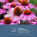 eclectic-herb-vitabiotic-capsules-immune-3.jpg