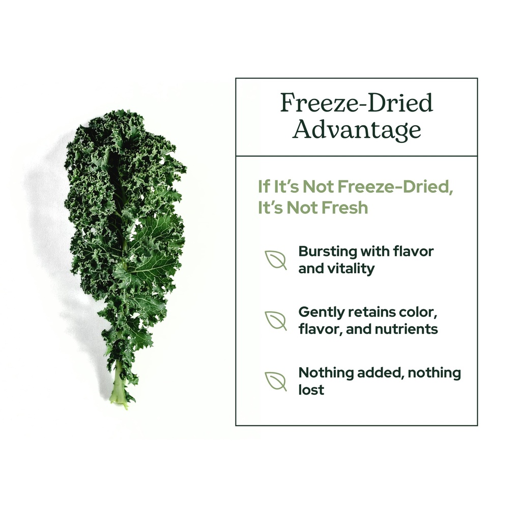eclectic-herb-organic-kale-powder-supple-5.jpg