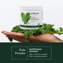 eclectic-herb-organic-kale-powder-supple-3.jpg