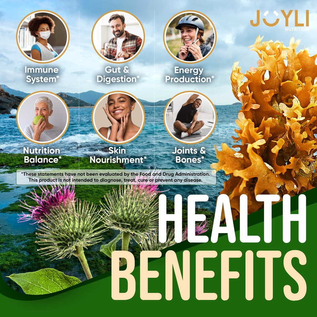 joyli-nutrition-2-pack-sea-moss-gummies--2.jpg