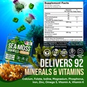 joyli-nutrition-2-pack-sea-moss-gummies--3.jpg