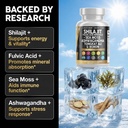 clean-nutraceuticals-shilajit-supplement-3.jpg