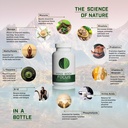 mind-body-focus-natural-nootropic-brain--3.jpg