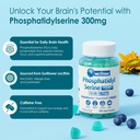 phosphatidylserine-nootropic-brian-suppl-3.jpg
