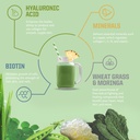 sunwarrior-beauty-greens-collagen-booste-4.jpg