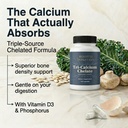 rooted-calcium-supplement-500-mg-with-vi-2.jpg