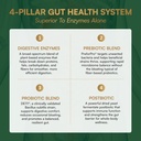 purity-products-advanced-digestive-enzym-4.jpg