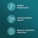 dr-mercola-l-glycine-aids-production-of--3.jpg