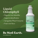 nature-s-sunshine-detox-seasonal-support-2.jpg