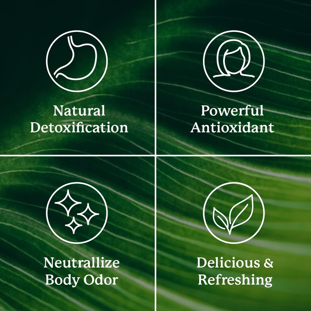 nature-s-sunshine-chlorophyll-stick-pack-6.jpg