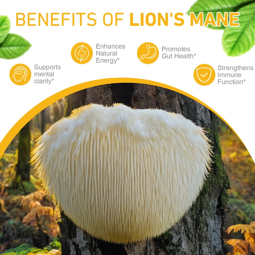 lions-mane-liquid-drops-lion-s-mane-mush-6.jpg