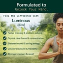 adapt-naturals-luminous-mind-nootropic-b-6.jpg